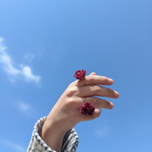 Anillo de flor Clavel